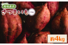 さつまいも（土佐紅）4kg 2025年出荷分 - サツマイモ さつま芋 野菜 焼き芋 やきいも 焼いも おやつ スイーツ スイートポテト バター焼き アレンジ 料理 国産 高知県 香南市 yr-0044