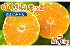 【秀品】みかん 5kg 小玉 はちきんキッス(雨よけみかん) 先行受付 - 果物 フルーツ ごくわせ 極早生みかん 期間限定 柑橘類 ミカン 山北みかん おすそ分け おいしい みずみずしい ビタミンC 程よい酸味 小さなお子様 子供 こども 美容と健康 特産品 送料無料 高知県 香南市 ku-0040