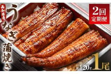 うなぎ 定期便 2回 うなぎ蒲焼き120g 1尾(無頭) 魚介 国産 海鮮 魚 かばやき 鰻 ウナギ 惣菜 おかず お手軽 加工品 加工食品 冷凍 Wun-0019
