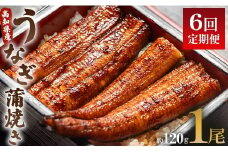 うなぎ 定期便 6回 うなぎ蒲焼き120g 1尾(無頭) 魚介 国産 海鮮 魚 かばやき 鰻 ウナギ 惣菜 おかず お手軽 加工品 加工食品 冷凍 Wun-0021