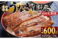 定期便 うなぎ 蒲焼き 約200g 3尾 6回 愛知県産 養殖 うなぎ 魚介 国産 海鮮 魚 かばやき 鰻 ウナギ 惣菜 おかず お手軽 加工品 加工食品 冷凍 Wfb-0079