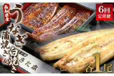 うなぎ 定期便 国産 6回 うなぎ 蒲焼き 白焼き セット 120g 各1尾(無頭) 魚介 国産 海鮮 魚 かばやき 鰻 ウナギ 惣菜 おかず お手軽 しらやき 加工品 加工食品 冷凍  Wun-0053