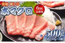 中トロ 定期便 6回 約250g 2冊 養殖 本マグロ 合計3kg - 鮪 まぐろ 中とろ 寿司 刺身 さしみ 海鮮丼 漬け丼 カルパッチョ おつまみ 新鮮 海産物 魚介 海の幸 オオジ 高知県 香南市 冷凍 中トロ Woo-0009
