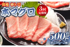 【3回定期便】中トロ 本マグロ柵 約250g 2冊 合計1.5kg 養殖 本マグロ - 鮪 まぐろ 中とろ 寿司 刺身 さしみ 海鮮丼 漬け丼 カルパッチョ おつまみ 新鮮 海産物 魚介 海の幸 オオジ 高知県 香南市 冷凍 中トロ Woo-0008
