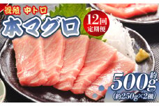 中トロ 定期便 12回 約250g 2冊 養殖 本マグロ 合計6kg - 鮪 まぐろ 中とろ 寿司 刺身 さしみ 海鮮丼 漬け丼 カルパッチョ おつまみ 新鮮 海産物 魚介 海の幸 オオジ 高知県 香南市 冷凍 中トロ 定期便 ふるさとのうぜい Woo-0010