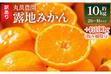 【2025年出荷分】訳あり みかん 10kg 小玉(2S～Mサイズ) 家庭用 丸萬農園 - 果物 くだもの フルーツ 果実 柑橘 かんきつ 蜜柑 みかん ミカン 果汁 期間限定 訳あり 訳アリ キズ 傷 高知県 香南市 常温 1万円以上 10000円以上 お取り寄せ 小玉みかん mn-0005