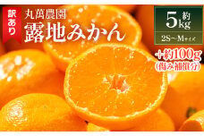 【2025年出荷分】訳あり みかん 5kg 小玉(2S～Mサイズ) 家庭用 丸萬農園 - 果物 くだもの フルーツ 果実 柑橘 かんきつ 蜜柑 みかん ミカン 果汁 期間限定 訳あり 訳アリ キズ 傷 高知県 香南市 常温 1万円以上 10000円以上 お取り寄せ 小玉みかん mn-0004