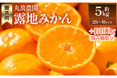 【2025年出荷分】みかん 小玉(2S～Mサイズ) 5kg 贈答用 丸萬農園 - 果物 くだもの フルーツ 果実 柑橘 かんきつ 蜜柑 みかん ミカン 期間限定 ギフト 贈り物 プレゼント お祝い 感謝 お礼 高知県 香南市 常温 1万円以上 10000円以上 お取り寄せ 小玉みかん mn-0001