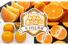 【みかん定期便】一度食べたらくせになる！ みかん 食べ比べ 年4回コース  - フルーツ定期便 4回配送 旬 果物 くだもの フルーツ かんきつ 蜜柑 みかん ミカン せとか なつみ 露地みかん 温室みかん 山北みかん 高知県 香南市 常温 Wku-0044
