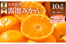 【2025年出荷分】露地みかん(2S～Mサイズ) 10kg 贈答用 丸萬農園 - 果物 くだもの フルーツ 果実 柑橘 かんきつ 蜜柑 みかん ミカン 期間限定 ギフト 贈り物 プレゼント お祝い 感謝 お礼 高知県 香南市 常温 mn-0002