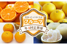 【フルーツ定期便】一度食べたらくせになる！ フルーツ 年4回定期便 - 4回配送 旬 果物 くだもの フルーツ かんきつ 蜜柑 みかん ミカン こなつ 小夏 なつみ 水晶文旦 ぶんたん ブンタン 露地みかん 山北みかん 高知県 香南市 常温 Wku-0045