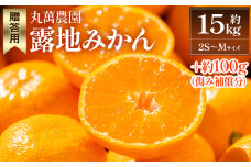 【2025年出荷分】露地みかん(2S～Mサイズ) 15kg 贈答用 丸萬農園 - 果物 くだもの フルーツ 果実 柑橘 かんきつ 蜜柑 みかん ミカン 期間限定 ギフト 贈り物 プレゼント お祝い 感謝 お礼 高知県 香南市 常温 mn-0003