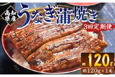 国産 うなぎ 定期便 100g～120g １尾 3回 蒲焼き 高知県産 養殖 魚介 国産 海鮮 魚 かばやき 鰻 ウナギ 惣菜 おかず お手軽 加工品 加工食品 冷凍 Wfb-0034