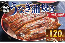 国産 うなぎ 定期便 100g～120g １尾 12回 蒲焼き 高知県産 養殖 魚介 国産 海鮮 魚 かばやき 鰻 ウナギ 惣菜 おかず お手軽 加工品 加工食品 冷凍 Wfb-0036