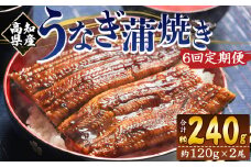 国産 うなぎ 定期便 100g～120g 2尾 6回 蒲焼き 高知県産 養殖 魚介 国産 海鮮 魚 かばやき 鰻 ウナギ 惣菜 おかず お手軽 加工品 加工食品 冷凍 Wfb-0039