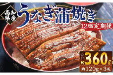 国産 うなぎ 定期便 100g～120g 3尾 12回 蒲焼き 高知県産 養殖 魚介 国産 海鮮 魚 かばやき 鰻 ウナギ 惣菜 おかず お手軽 加工品 加工食品 冷凍 Wfb-0044