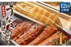 国産 うなぎ 定期便 12回 うなぎ蒲焼き&白焼き120g 1尾(無頭) 交互にお届け 魚介 国産 海鮮 魚 かばやき 鰻 ウナギ 惣菜 おかず お手軽 しらやき 加工品 加工食品 冷凍 Wun-0046