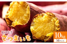 【10kg】さつまいも 紅はるか スイーツ 熟成 Mサイズ - サツマイモ さつま芋 野菜 焼き芋 やきいも 焼いも 蒸し芋 おやつ スイーツ スイートポテト 国産 アスタ農園 さつまいも10kg at-0009