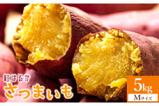 【紅はるか】さつまいも スイーツ Mサイズ 5kg さつまいも(紅はるか) - 熟成 サツマイモ さつま芋 野菜 焼き芋 やきいも 焼いも 蒸し芋 おやつ スイーツ スイートポテト 国産 アスタ農園 at-0008