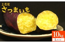 【10kg】さつまいも(土佐紅) Lサイズ - サツマイモ さつま芋 野菜 焼き芋 やきいも 焼いも 蒸し芋 おやつ スイーツ スイートポテト 国産 アスタ農園 さつまいも 10kg at-0006