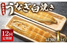 【12回定期便】 国産 うなぎ 白焼き 120g 1尾(無頭) うなぎ 魚介 国産 海鮮 魚 かばやき 鰻 ウナギ 惣菜 おかず お手軽 加工品 加工食品 冷凍 Wun-0034