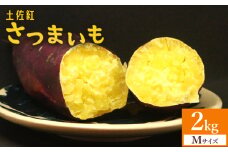 【土佐紅】さつまいも Mサイズ 2kg - サツマイモ さつま芋 野菜 焼き芋 やきいも 焼いも 蒸し芋 おやつ スイーツ スイートポテト 国産 アスタ農園 さつまいも at-0001