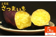 【土佐紅】さつまいも Lサイズ 5kg - サツマイモ さつま芋 野菜 焼き芋 やきいも 焼いも 蒸し芋 おやつ スイーツ スイートポテト 国産 アスタ農園 さつまいも at-0005