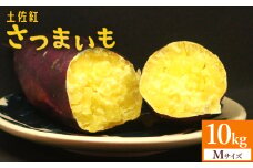 【10kg】さつまいも(土佐紅) Mサイズ - サツマイモ さつま芋 野菜 焼き芋 やきいも 焼いも 蒸し芋 おやつ スイーツ スイートポテト 国産 アスタ農園 さつまいも10kg at-0003