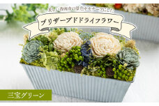 【1級フラワーデザイナーが制作】ドライフラワー プリザーブドライフラワー 三宝グリーン 花雑貨 SOU flower - 花雑貨 SOU flower アレンジメントフラワー インテリア おしゃれ 可愛い 記念日 誕生日 母の日 プレゼント 贈り物 ギフト sf-0001