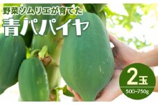 パパイヤ ２玉 青パパイヤ 野菜ソムリエが育てた mj-0017