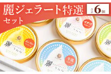 ジェラート 添加物不使用 麗ジェラート 特選 6個 セット - アイスクリーム デザート スイーツ お菓子 洋菓子 詰合せ 詰め合わせ アソート フレーバー ギフト 贈り物 添加物不使用 ドルチェかがみ 高知県 香南市 冷凍 dc-0033