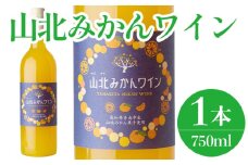 ワイン 山北みかんワイン 1本 750ml - 温州みかん 蜜柑 ミカン ワイン 甘口 お酒 さけ 食前酒 アルコール 度数8％ ボトル 瓶 ほろ酔い 女性におすすめ おしゃれ プレゼント ギフト 贈り物 お祝い 御祝 内祝い 井上ワイナリー 高知県 香南市 冷蔵 iw-0006