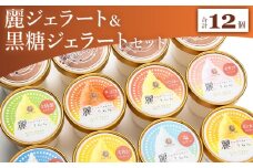 【詰め合わせ】ジェラート 麗ジェラートと黒糖ジェラート 12個セット - アイスクリーム デザート スイーツ お菓子 洋菓子 詰合せ 詰め合わせ アソート フレーバー ギフト 贈り物 ドルチェかがみ 高知県 香南市 冷凍 dc-0073