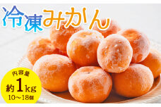 冷凍みかん 1kg 国産 蜜柑 ミカン 山北みかん フルーツ 冷凍フルーツ スムージー アイス サワー 果物 自然栽培 高知県 香南市 冷凍 eh-0038