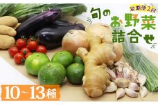 【定期便】野菜 2回コース 高知県香南市産 旬のお野菜詰合せ(10～13品目) - 10～13種類 やさい 季節の野菜 新鮮 お楽しみ おたのしみ おまかせ 詰め合わせ セット 土佐野菜 新鮮 国産 高知県 香南市 プライム Wpr-0018