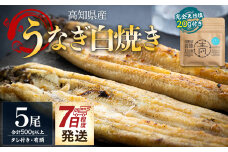 【国産】うなぎ 高知県産 白焼き 5尾(100～110g×5尾) 合計500g以上 田野町完全天日塩 20g付き 黒箱 7日程度 yw-0086