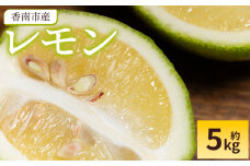 【国産】レモン 5kg - 香南市産 国産 檸檬 れもん 果物 くだもの フルーツ 野菜 柑橘 果汁 料理 アレンジ はちみつレモンパウンドケーキ 高知県 香南市 常温 冷蔵 sj-0005