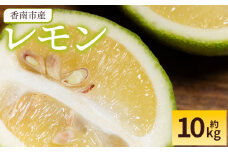 レモン 10kg 香南市産 - 香南市産 国産 檸檬 れもん 果物 くだもの フルーツ 野菜 柑橘 果汁 料理 アレンジ はちみつレモンパウンドケーキ 高知県 香南市 常温 冷蔵 sj-0006