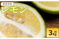 レモン 3kg - 香南市産 国産 檸檬 れもん 果物 くだもの フルーツ 野菜 柑橘 果汁 料理 アレンジ はちみつレモンパウンドケーキ 高知県 香南市 常温 冷蔵 sj-0004
