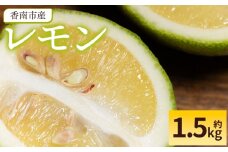 レモン 1.5kg 香南市産 - 国産 檸檬 れもん 果物 くだもの フルーツ 野菜 柑橘 果汁 料理 アレンジ はちみつレモンパウンドケーキ 高知県 香南市 常温 冷蔵 sj-0002