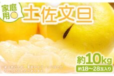 土佐文旦 家庭用 10kg 高知 大小混合(L～3L) 約18～28玉入り - 訳あり 傷 果物 文旦 ぶんたん ブンタン フルーツ 柑橘 香南市産 高知県 数量限定 期間限定 季節限定 旬 常温 10000円以上 1万円以上 『2026年2月より順次配送』 yk-0052