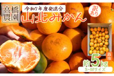 みかん 5kg 小玉 訳あり 高橋農園 山北みかん 露地(Ｓ～Ｍ)Ｂ品 - 果物 フルーツ ミカン 蜜柑 柑橘 家庭用 自宅用 新鮮 農家直送 露地 高知県 香南市 th-0019