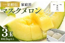 ＜家庭用メロン＞マスクメロン 3玉 メロン ますくめろん めろん 3玉 果物 くだもの フルーツ 甘い デザート 贈答 ギフト プレゼント 産直 産地直送 高知県 青肉 訳あり 一果相伝 青肉 フルーツ メロン 果物 1万円以上 10000円以上 tn-0029