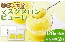 ピューレ メロン 120g×6袋 【2回定期便】完熟マスク JALファーストクラス機内食に採用 果物 くだもの フルーツ めろん 果汁100％ まるごと アイス シャーベット デザート スイーツ 篤農 高知県 香南市 冷凍 Wtn-0030
