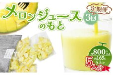 【3回定期便】メロンジュースのもと 約800ｇ 約165g×5パック - 国産 マスクメロン 完熟 飲み物 飲料 甘い フルーツジュース ジュース スムージー アレンジ カットメロン 果物 くだもの フルーツ めろん 篤農 高知県 香南市 冷凍 Wtn-0034