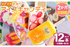 【２回定期便】手作りアイスキャンディー １２本セット - 氷菓 果物 フルーツ アイスキャンディー 冷たい つめたい 詰め合わせ お楽しみ 食べ比べ おやつ デザート スイーツ ギフト お礼 御礼 贈り物 贈物 のし対応可 ヤ・シィ 高知県 香南市 冷凍 Wys-0017