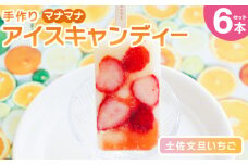手作りアイスキャンディー 土佐文旦いちご ６本セット - スイーツ デザート おやつ お菓子 果物 フルーツ アイスバー ギフト お礼 贈り物 のし対応可 ヤ・シィ 高知県 香南市 冷凍 ys-0019