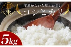 コシヒカリ 5kg 【令和7年産】【新米先行予約】 - 新米 お米 おこめ 国産 米 精米 ひのひかり ごはん 白米 ご飯 おにぎり おむすび 料理 調理 防災 非常食 備蓄 高知県 香南市 常温 at-0032