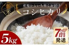 コシヒカリ 5kg 【令和7年産】【新米先行予約】 - 新米 お米 おこめ コシヒカリ 国産 米 精米 こしひかり ごはん 白米  農家直送 コシヒカリ 産地直送 コシヒカリ ご飯 おにぎり おむすび 料理 調理 防災 非常食 備蓄 高知県 香南市 常温 at-0042