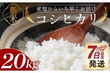 新米 コシヒカリ 20kg - 新米 お米 おこめ 国産 米 精米 ひのひかり ごはん 白米 ご飯 おにぎり おむすび 料理 調理 防災 非常食 備蓄 高知県 香南市 常温 at-0044